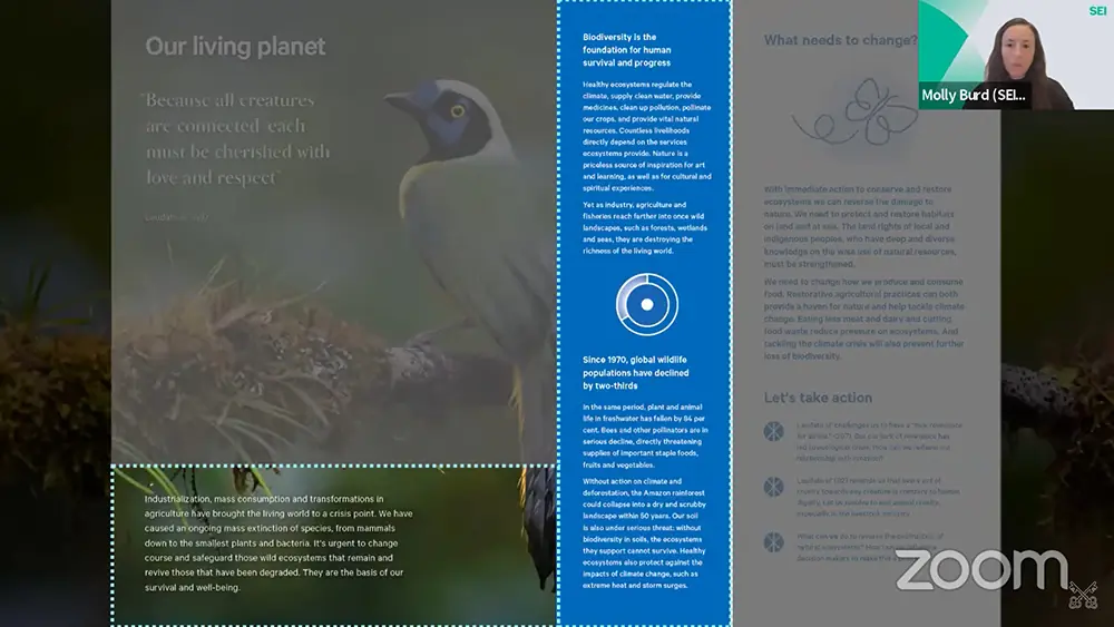 Molly Burd, project lead for the Stockholm Environment Institute for the <i>Our Common Home</i> guidebook, previews one of its pages during a virtual launch event. The institute collaborated on the book with the Vatican Dicastery for Promoting Integral Human Development